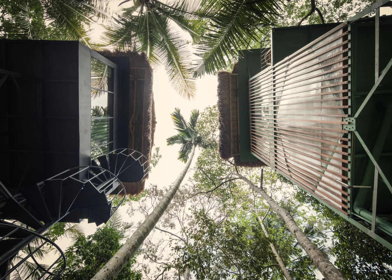 The Lift treehouses are built using steel structures and locally sourced bamboo and timber
