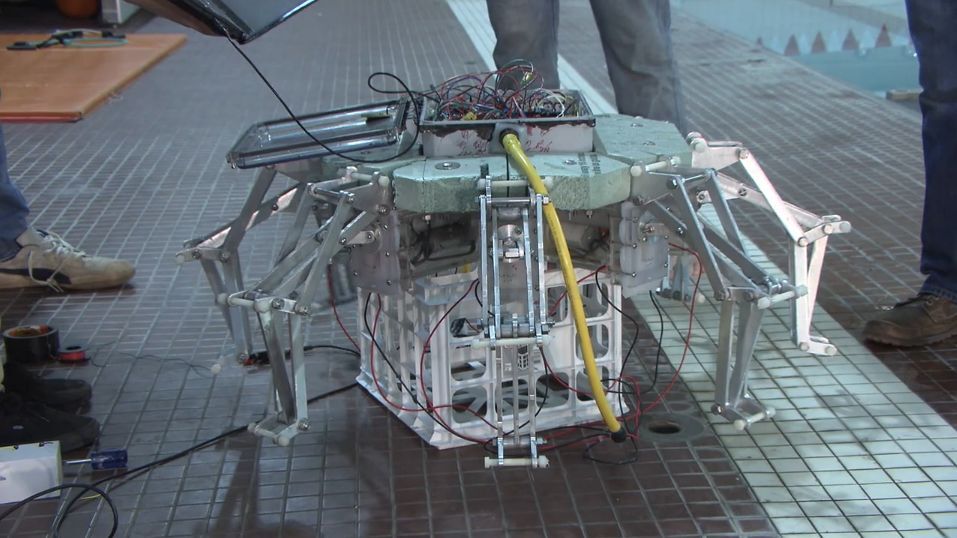 Cyro's inner structure, placed on top of a plastic crate