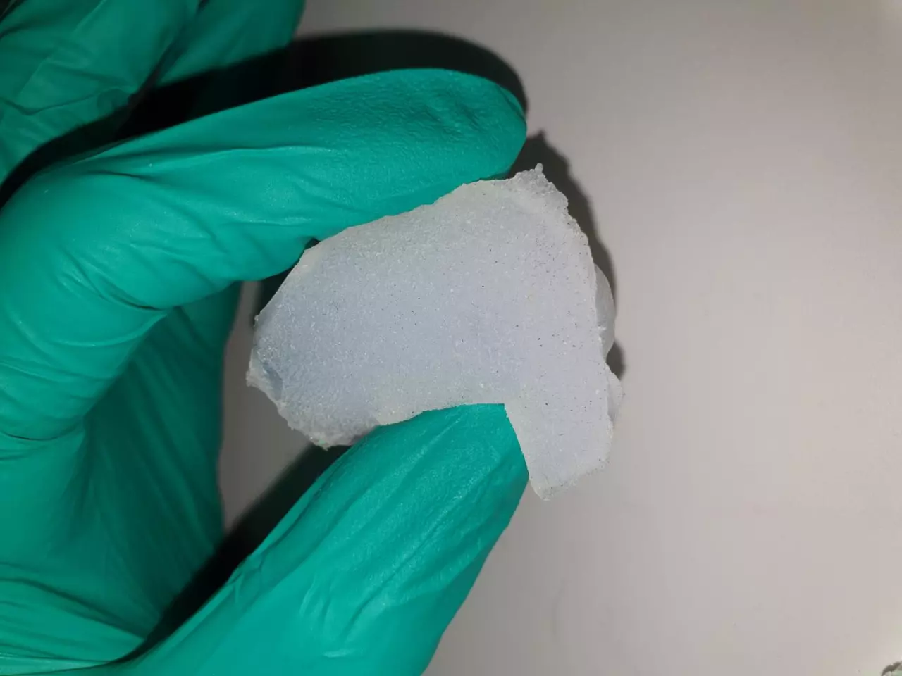 A piece of the biomimetic tongue material, which recreates the anterior dorsal section of the tongue