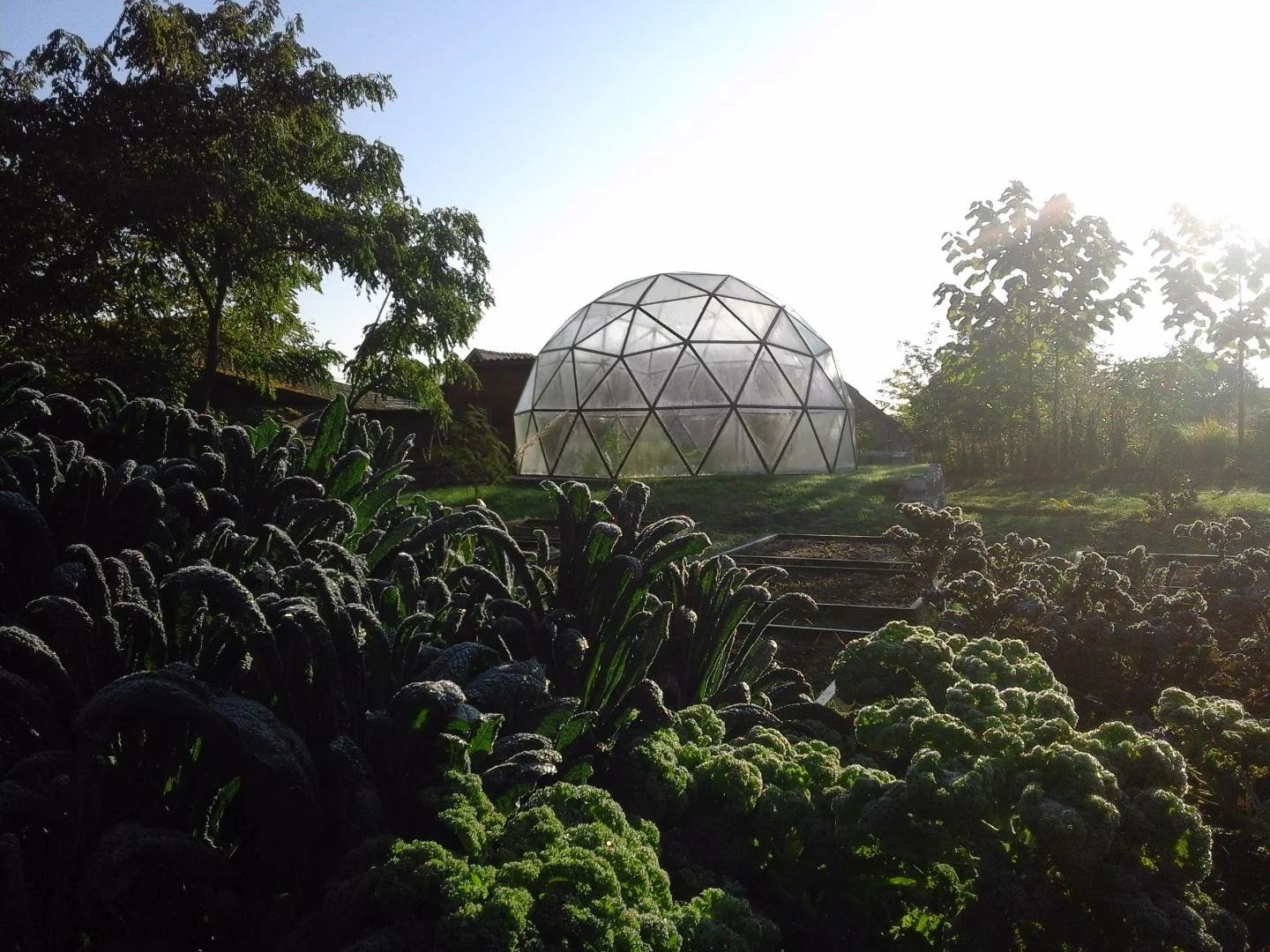Buckminster Fuller even lived in a geodesic dome throughout the 1960s