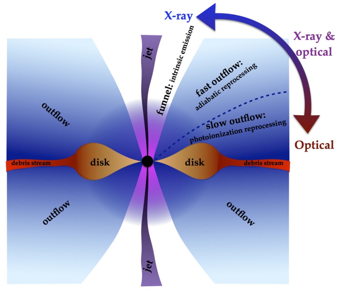 Cross section of a supermassive black hole displaying an accretion disk formed by a newly destroyed star, and where the different types of radiation are emitted