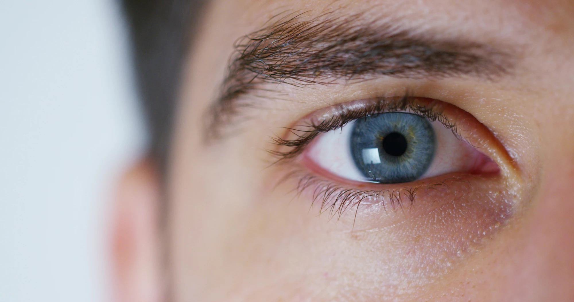 Using a light-sensing protein found in glowing algae, scientists have shown how vision can be partially restored in a patient suffering from common vision loss