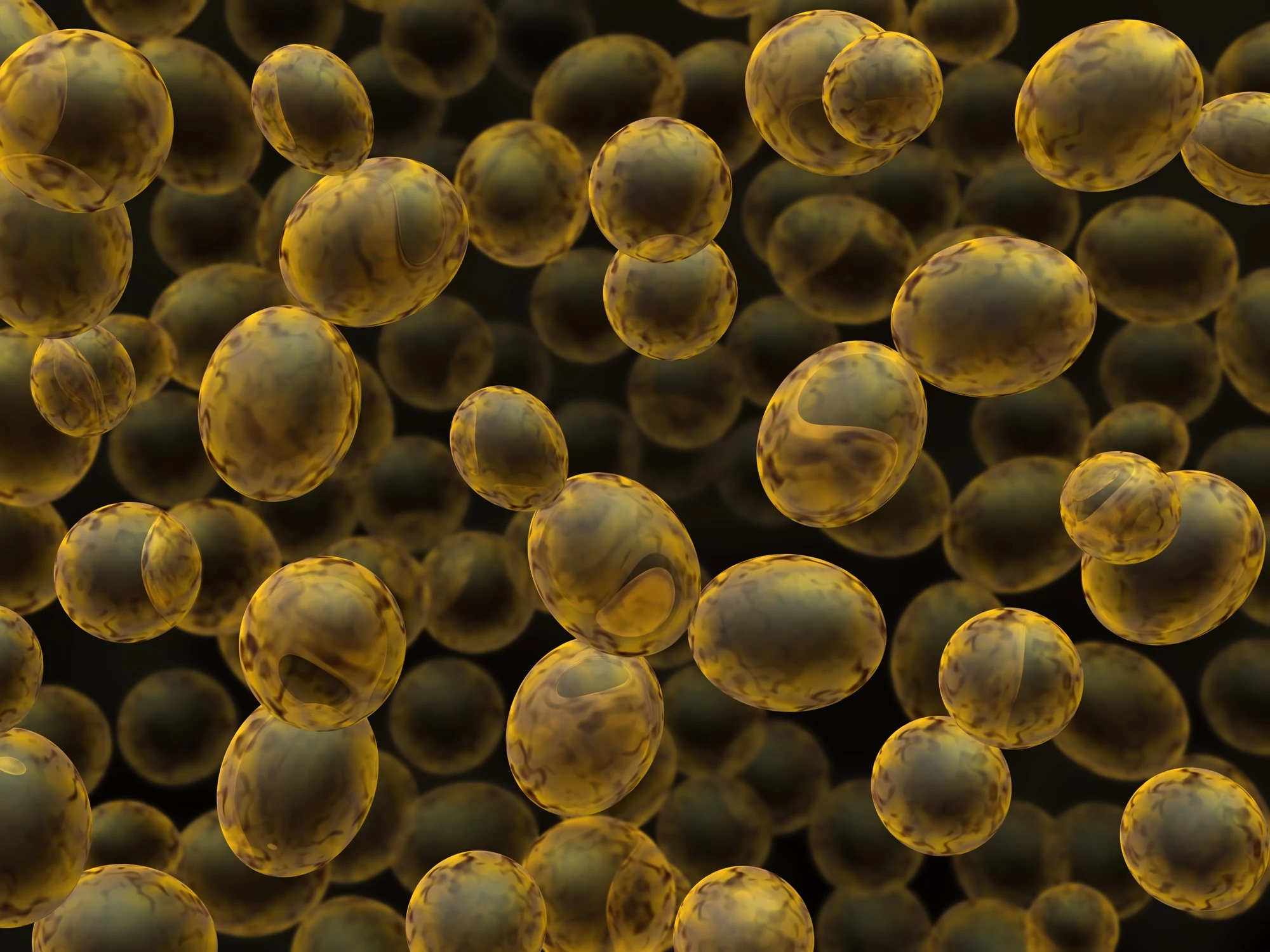 Researchers have modified standard baking yeast to sense signs of gut inflammation and respond by secreting anti-inflammatory particles