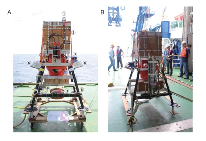 Japanese researchers used a baited 4K camera trap called a Hadal lander to attract deep sea organisms at depths of 7,498 m and 8,178 m