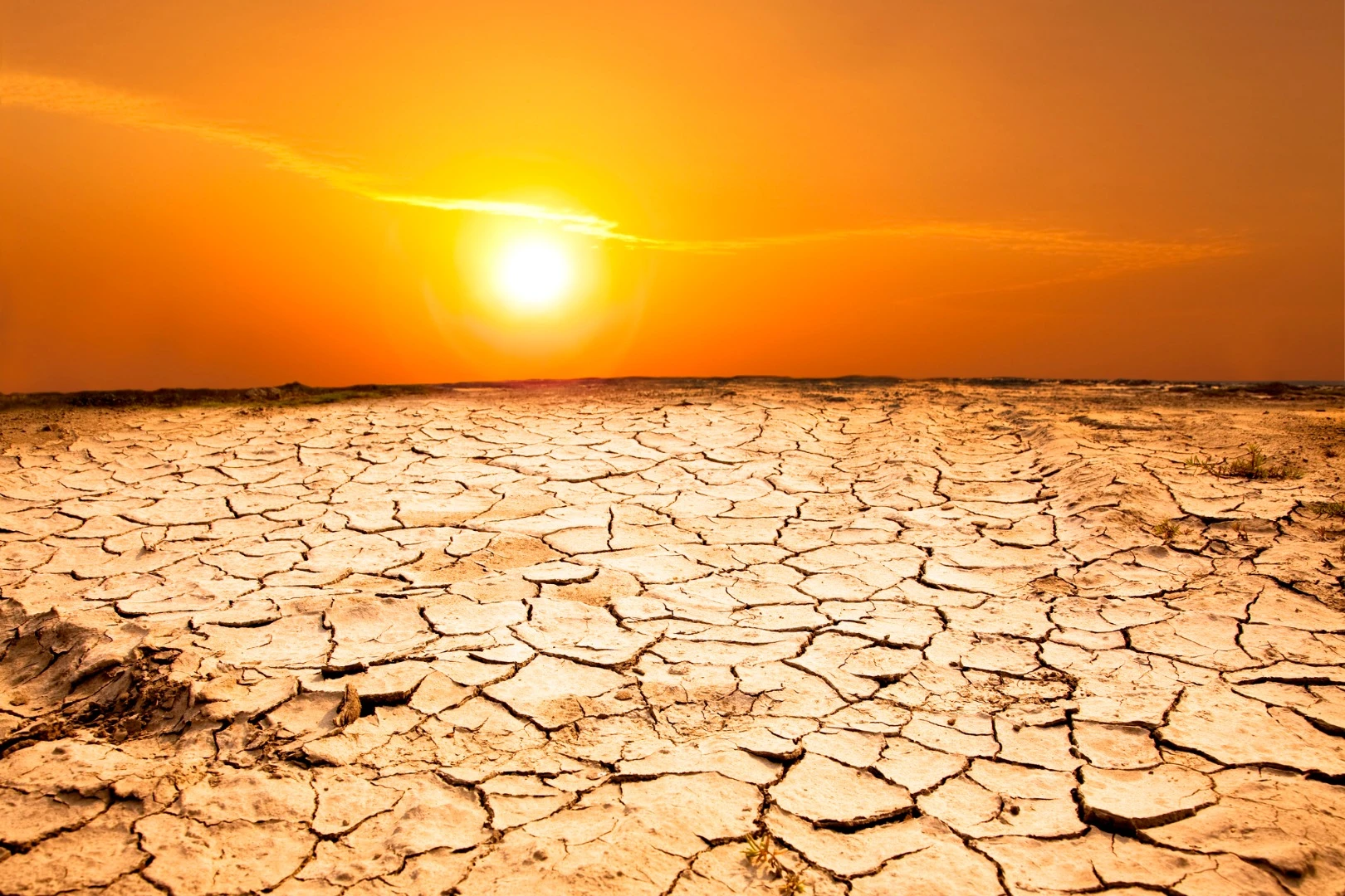 A new NOAA report has found that July 2019 was the hottest month on record, which stretches back to 1880
