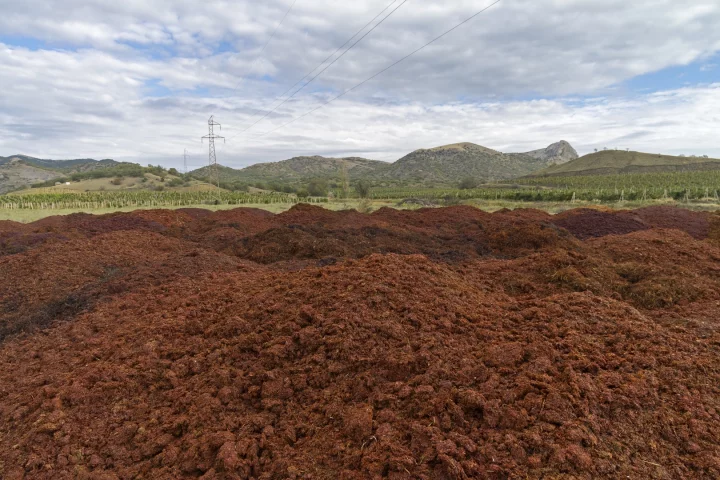 Mounds of grape marc could be made into litres of biofuel