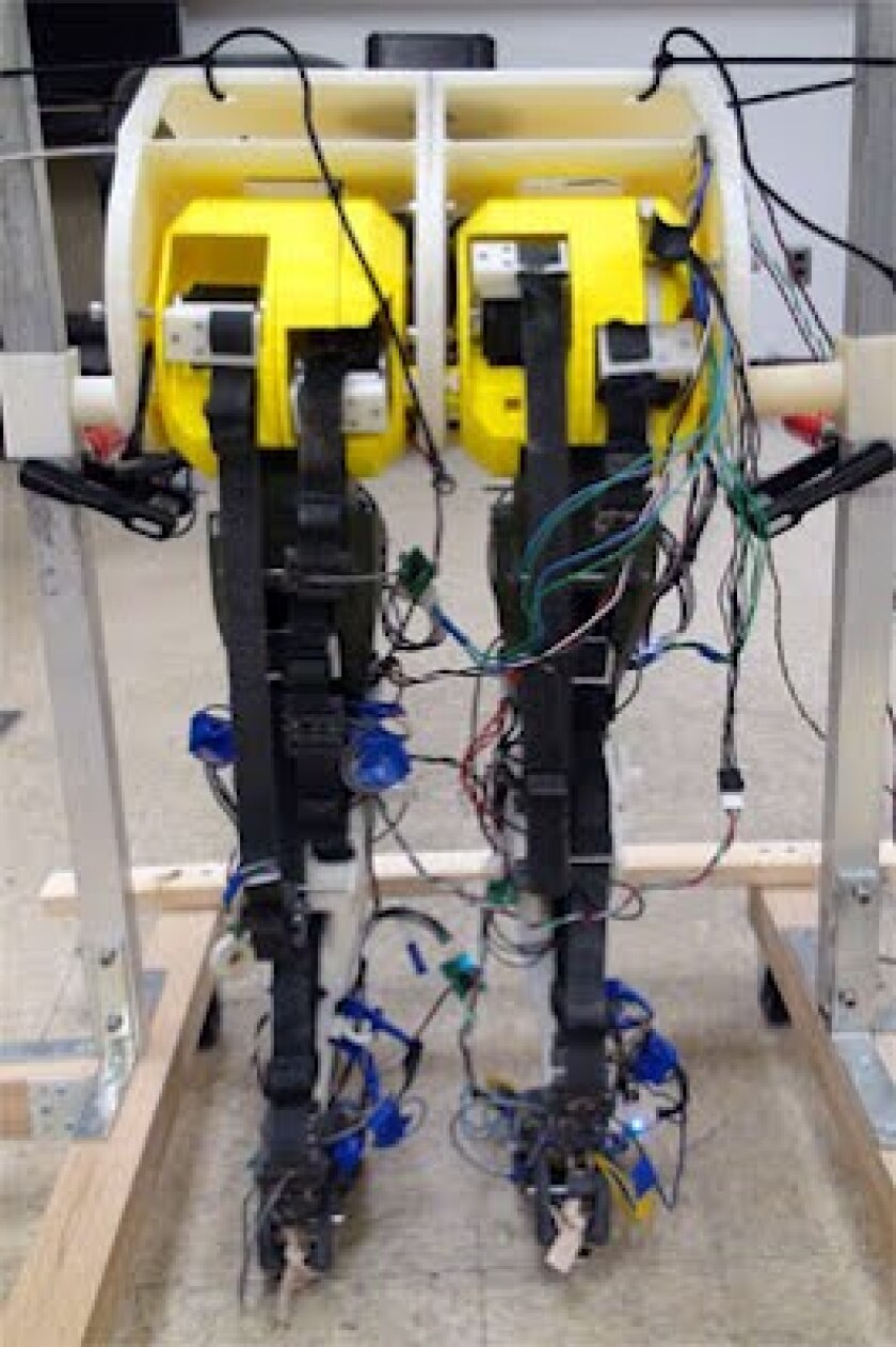 The robotic legs are to provide an insight into how humans learn to walk