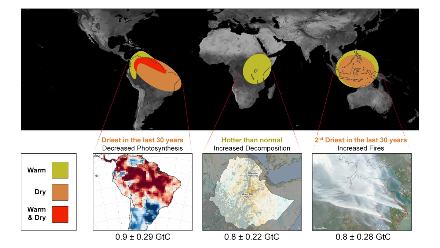 The effects of the 2015 El Nino event in different tropical regions, which in turn caused a large spike in atmospheric CO2 emissions