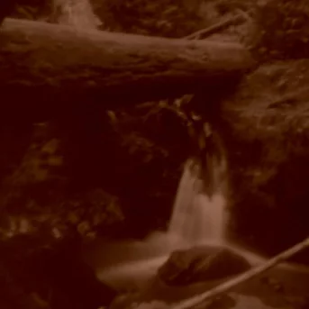 A photo taken by a tester with the Original Pin