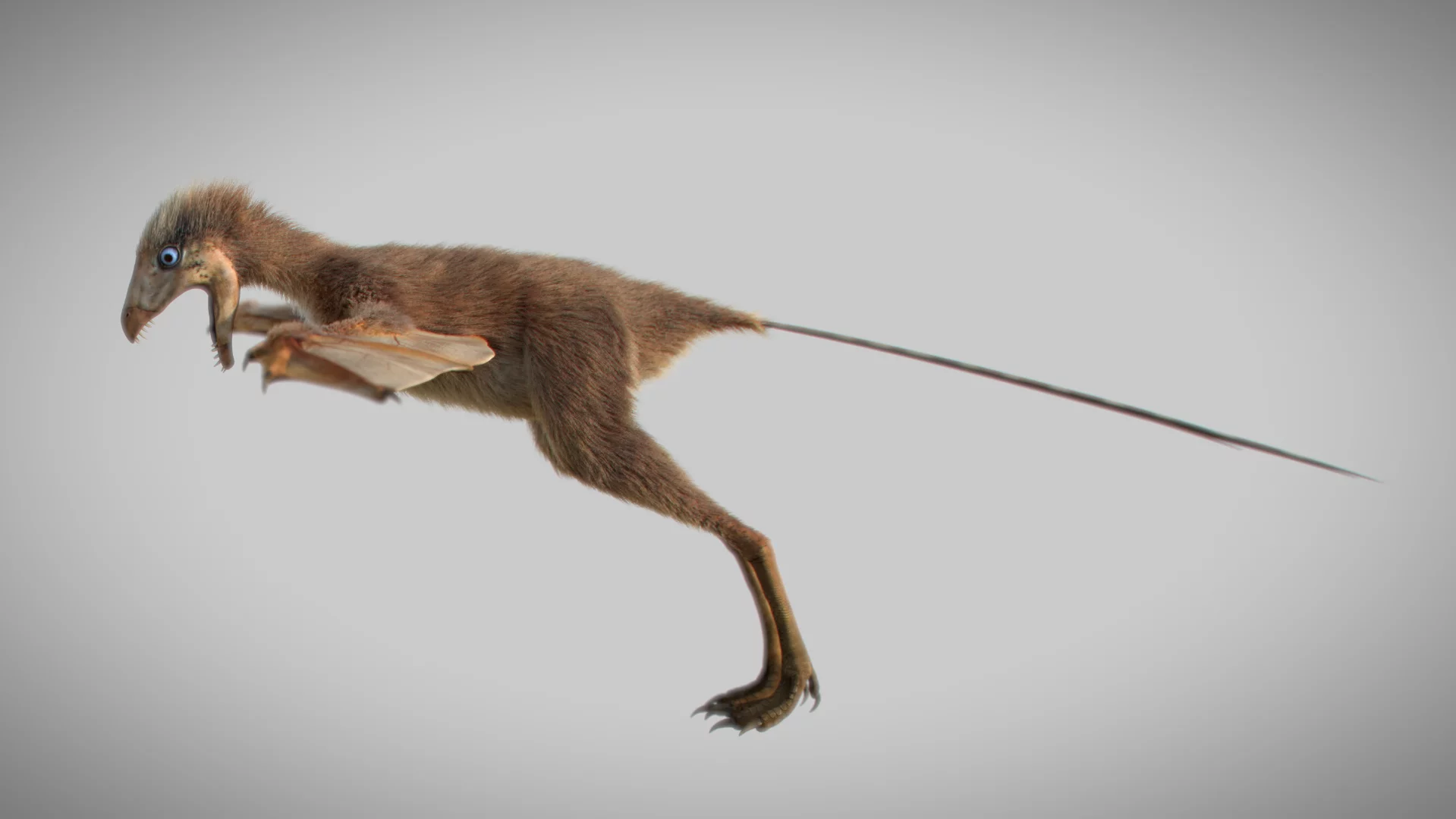 Ambopteryx longibrachium was tiny, measuring just 32 cm (13 in) and weighing 200 g (0.4 lb)
