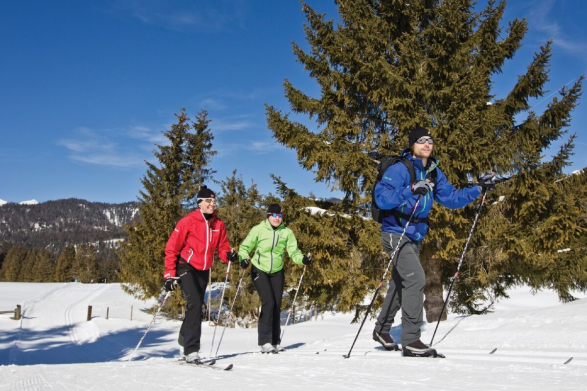 Hightech crosscountry skis tell you where to put the wax