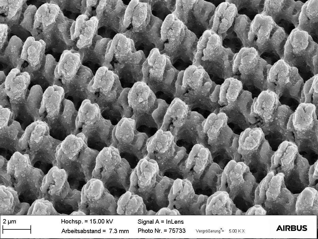 A microscope image of the lotus leaf-inspired surface treatment