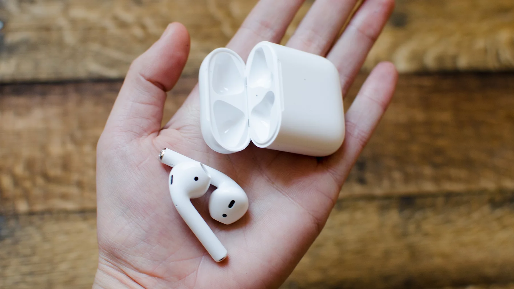 AirPods and their case easily fit in the palm of your hand