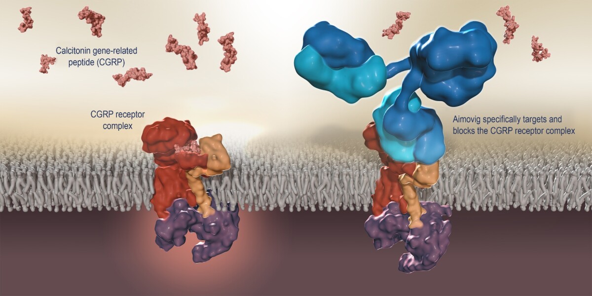The new drug targets a specific receptor in the brain known to activate migraines
