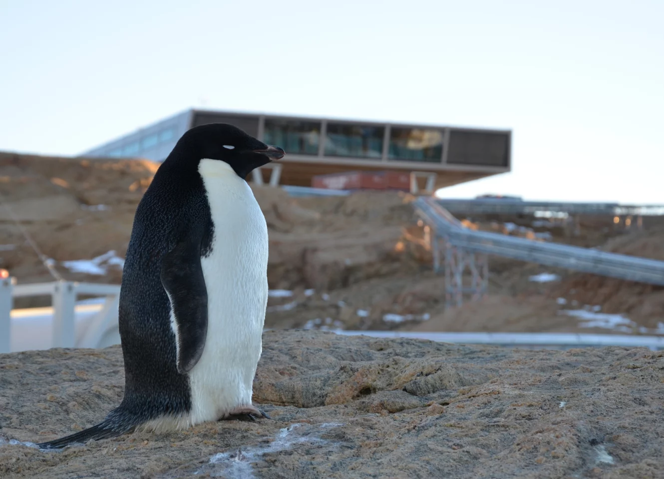 Despite the impressive engineering that went into building Bharathi, the locals seem unimpressed (Photo: bof artchitekten)