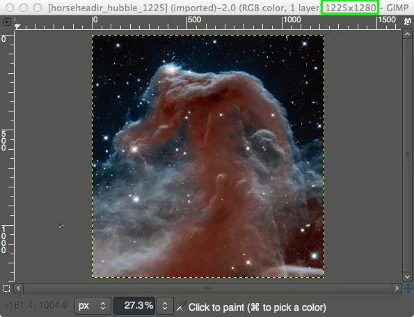 The open source image editor GIMP