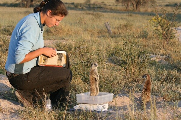 Earthwatch's "Meerkats of the Kalahari" expedition (Photo: Anne Ogilvie)