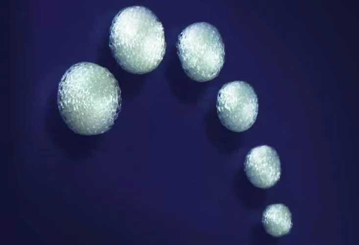 Scientists have created the world's first biodegradable joint implant (pictured), which causes the body to regrow injured joint tissue