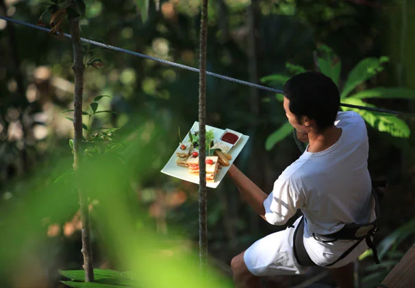 Food and drinks are delivered by a flying waiter, harnessed to a zip-line
