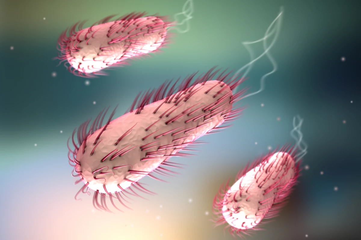 The coating has been successfully used to eradicate E. coli bacteria