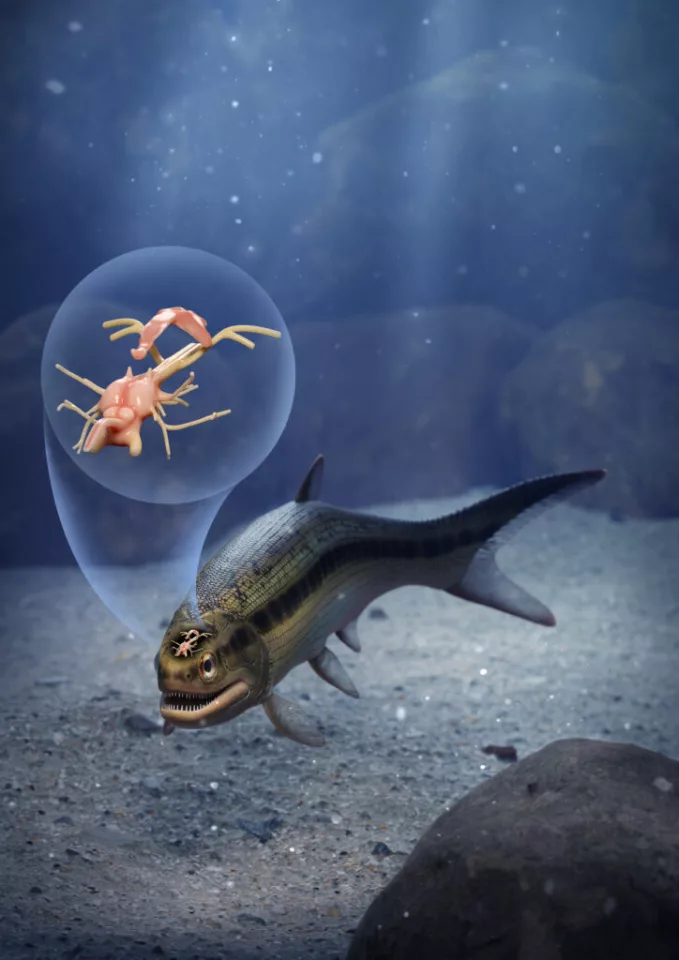 An artist's impression of Coccocephalus wildi, highlighting the unusua