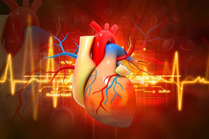 Zero ischemic time reduces damage, improves success rate and recovery