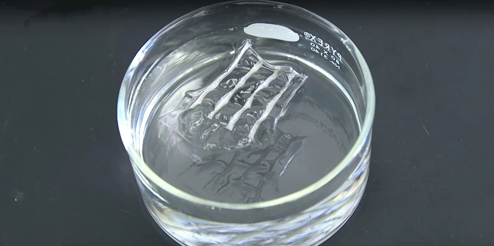 The polymer nanowires dissolve in water as they cool