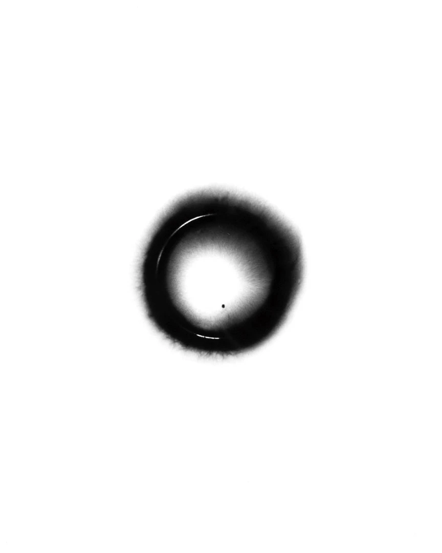 The Ebony spark
