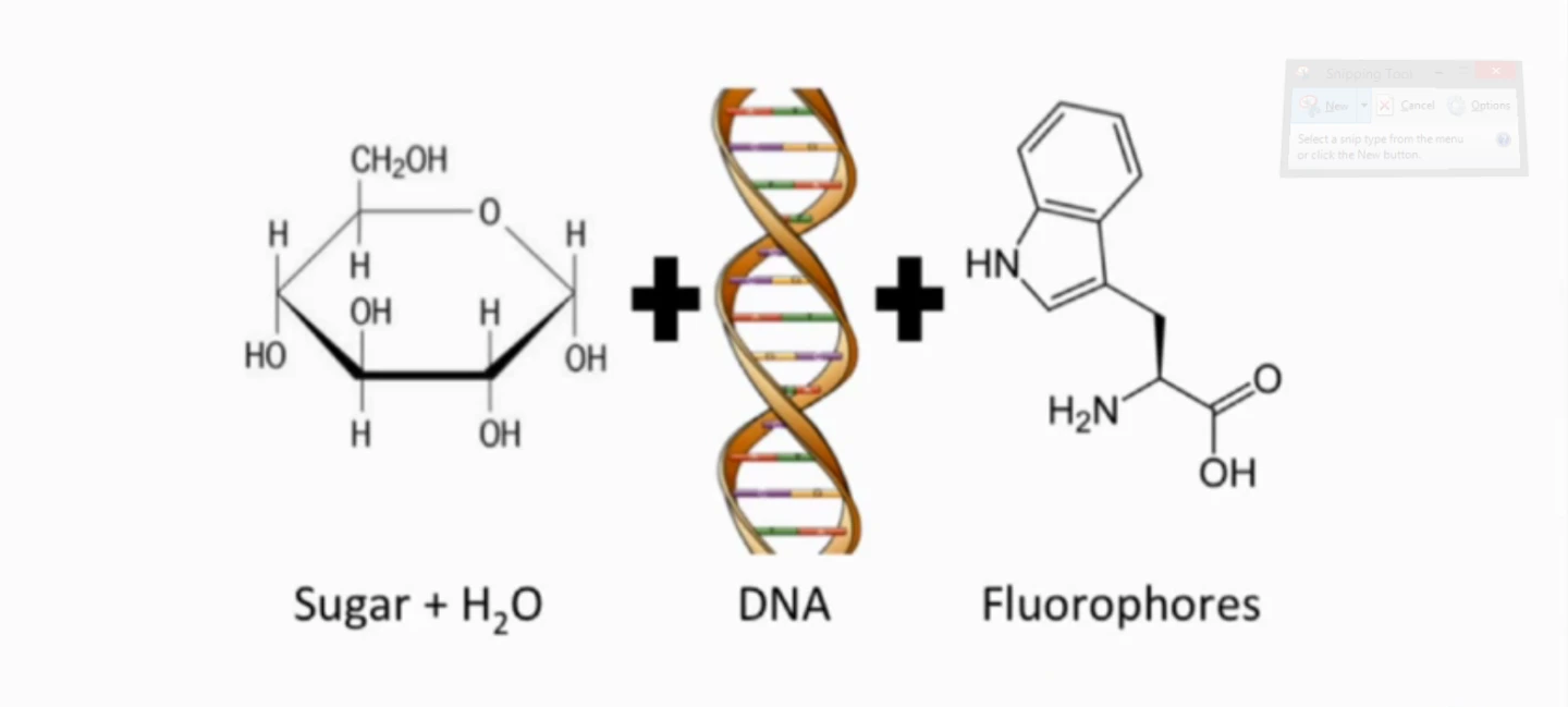 The components of DNATrax
