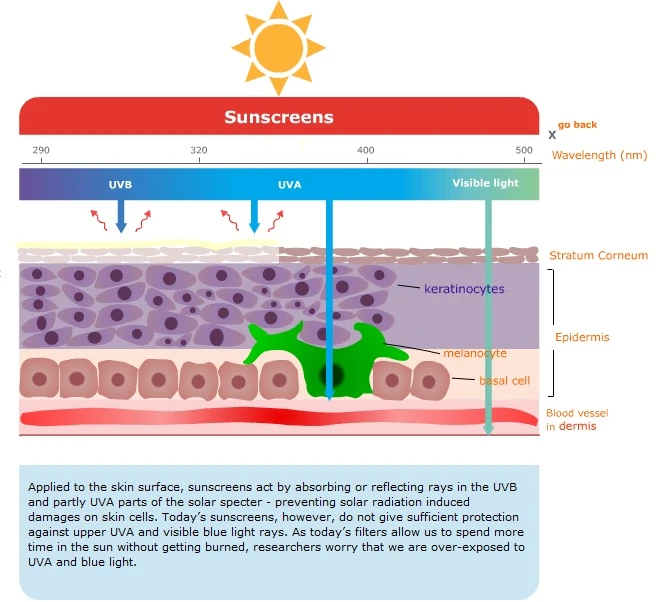 Explanation of how UVA rays affect skin (Image: PROMAR)