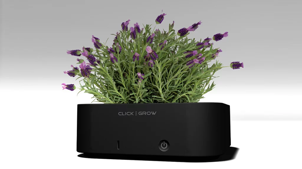 Click & Grow pots make growing houseplants a set & forget exercise