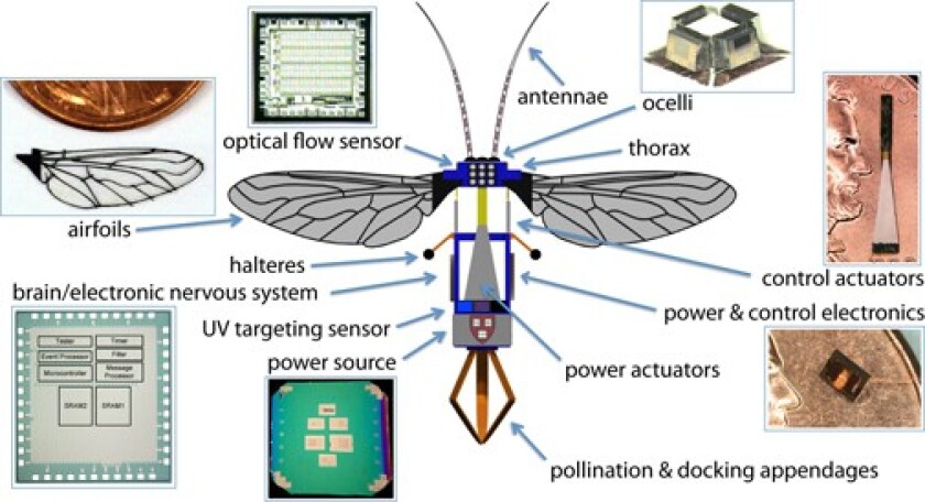 Harvard's micro aerial vehicle could be used to artificially pollinate crops, assist search and rescue operations, and perform clandestine military surveillance