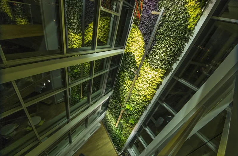 Green Over Grey says it has created the world's largest interior living wall