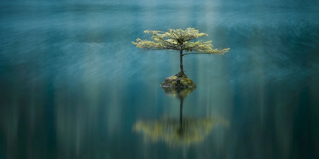 Third place for the Carolyn Mitchum Award went to this image from Canadian Adam Gibbs