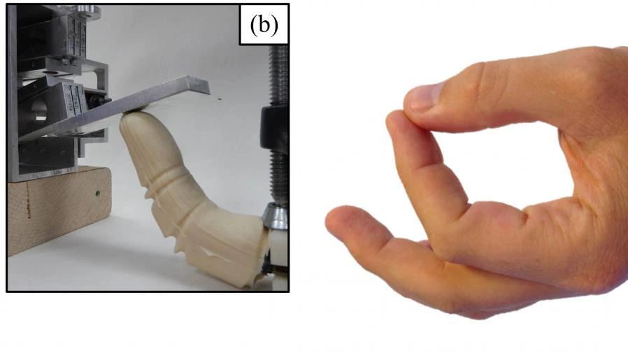 The team says the robotic finger could help to overcome some of the challenges encountered by researchers working in the ocean depths