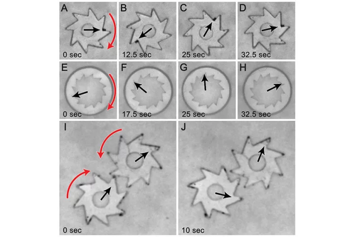 Diagram tracking the movement of gears turned by the bacteria (Image: Igor Aronson/Argonne National Laboratory)