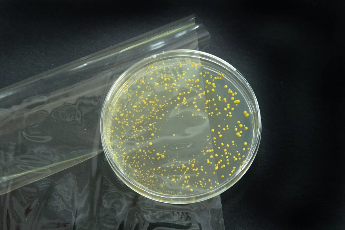 Fraunhofer's antibacterial food packaging film kills bacteria on food by releasing sorbic acid