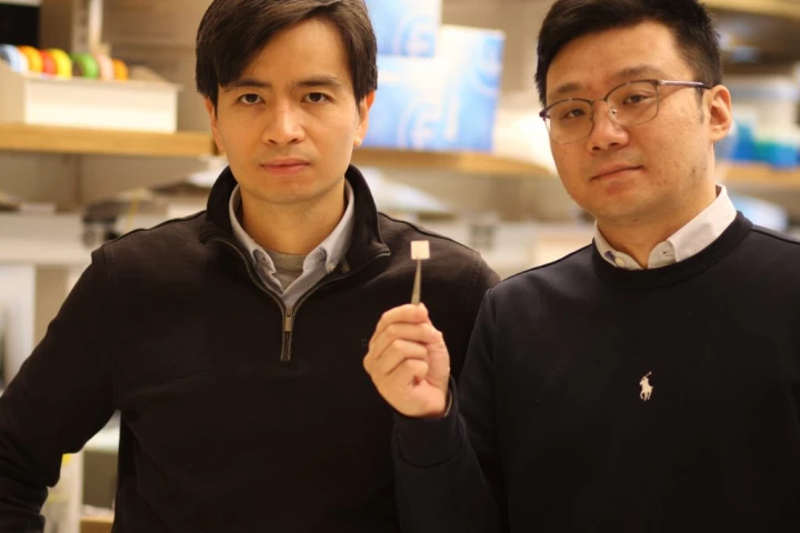 Thanh Nguyen (left) and Yang Liu, with a sample of the piezoelectric tissue scaffold material