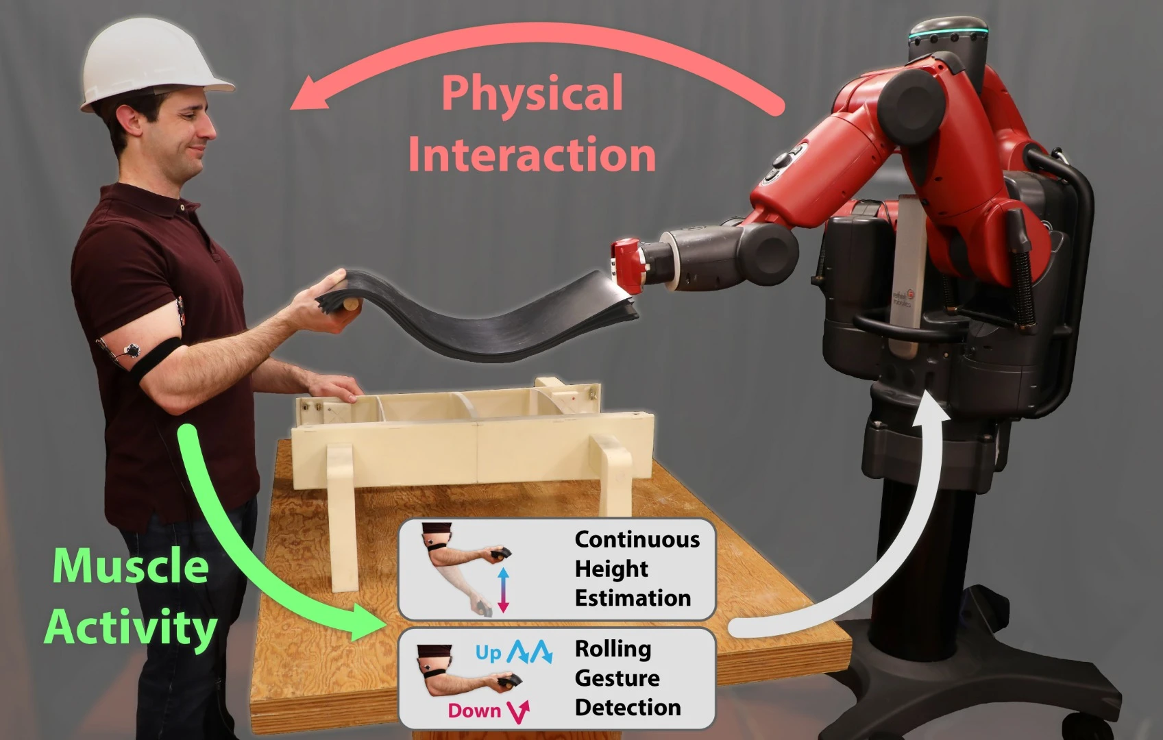 The researchers say it takes only a few tensing and relaxing cycles for RoboRaise to calibrate itself with a previously unknown arm
