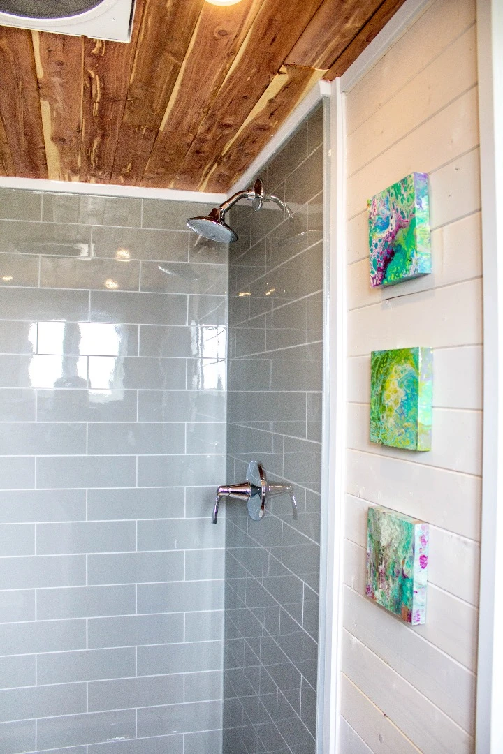The Aurora's shower