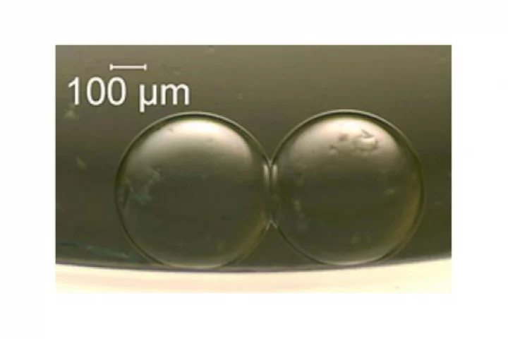 Two artificial cells that can act as a tiny battery(Credit: NIST)