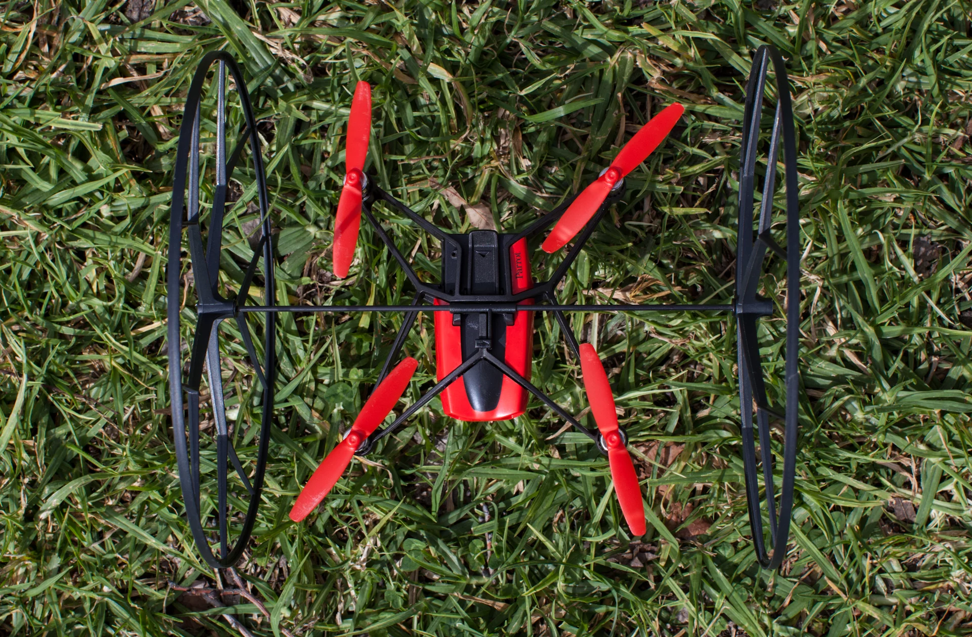 Aimed at children and newcomers, the Rolling Spider is enough to keep a novice entertained, while also enabling them to get the hang of piloting a drone (Photo: Noel McKeegan/Gizmag)