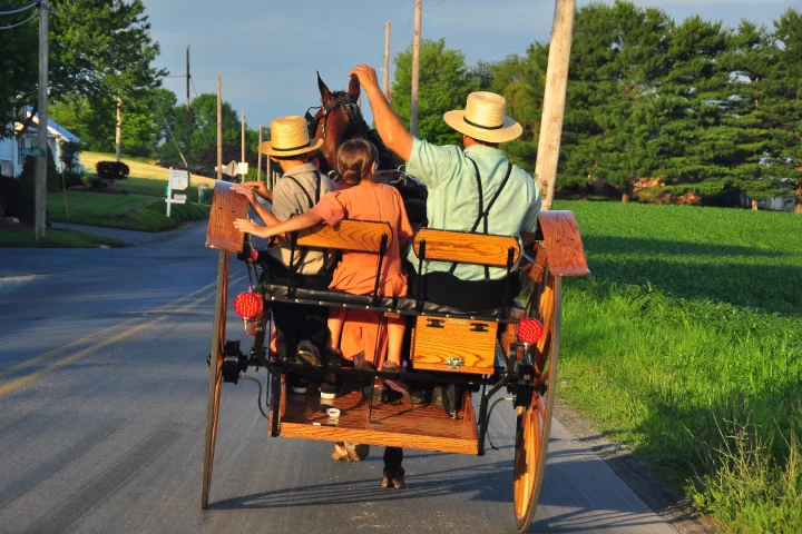 Scientists have discovered a genetic mutation in an Amish community that lets them live longer and protects them from diabetes and other age-related illnesses