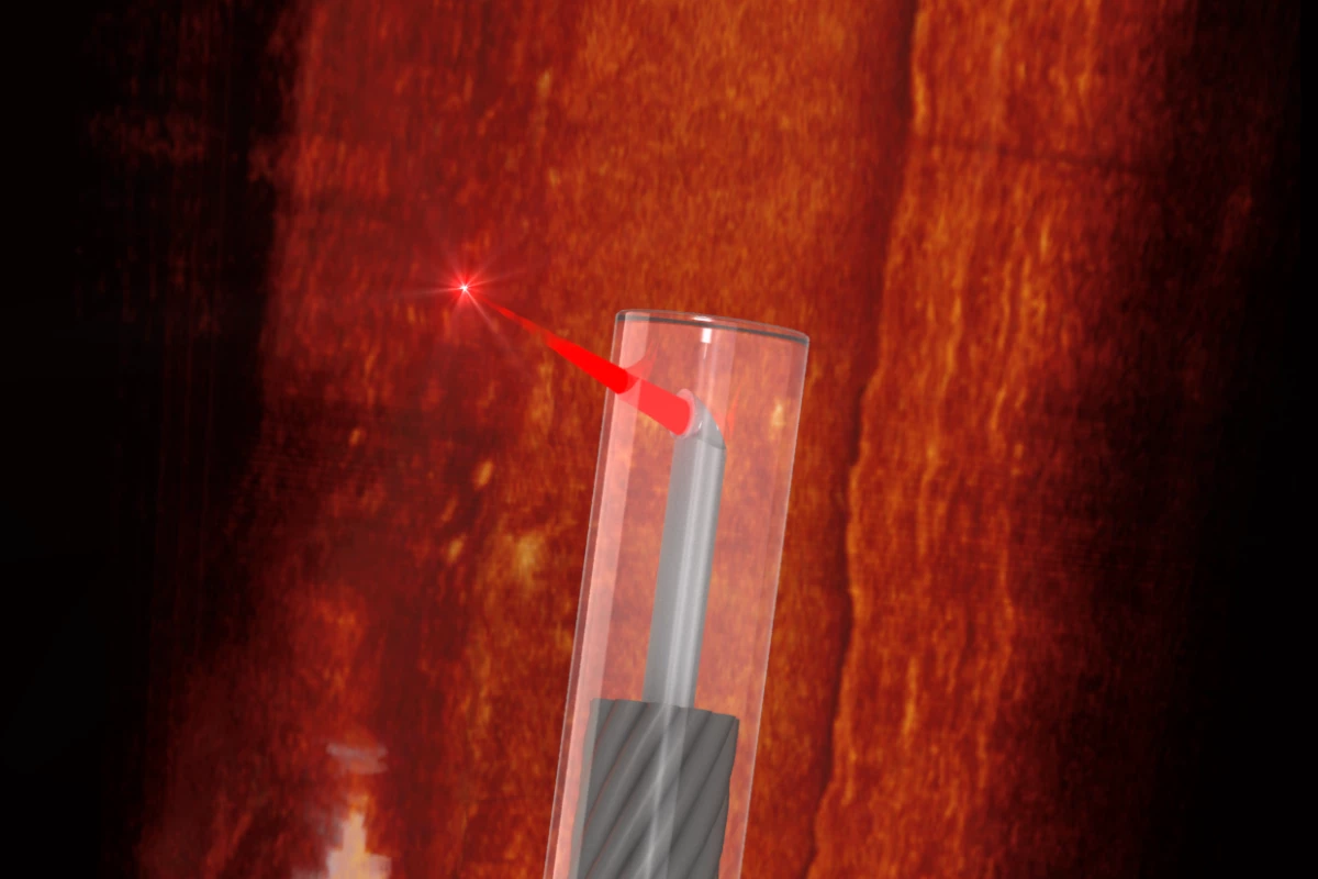 The thickness of a human hair, this optical probe has a tiny lens 3D printed into its side, allowing unprecedented 3D scanning access through blood vessels and other hard-to-reach places in the body