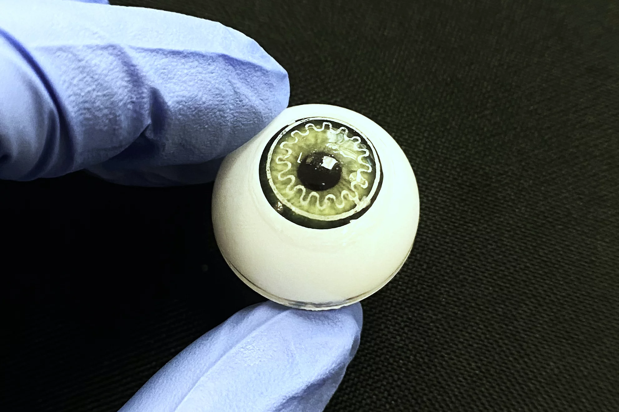 A model eye displays a "smart" pressure-measuring contact lens, created via the new procedure