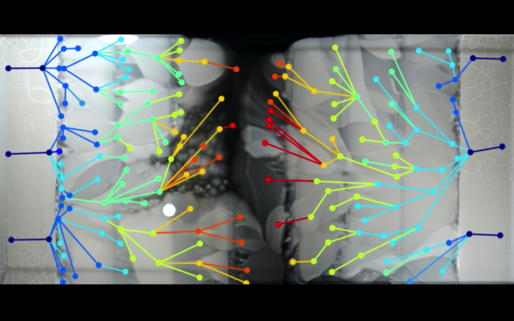 The way the bacteria's evolution played out surprised the researchers in a couple of ways