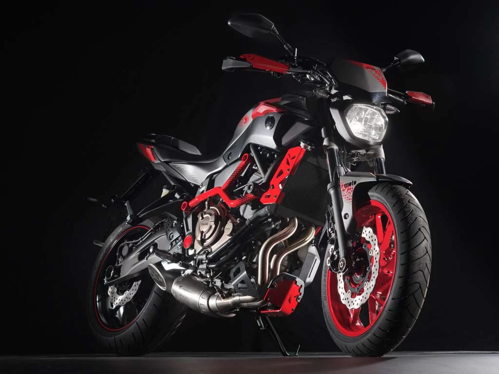 2015 Yamaha MT-07 Moto Cage edition