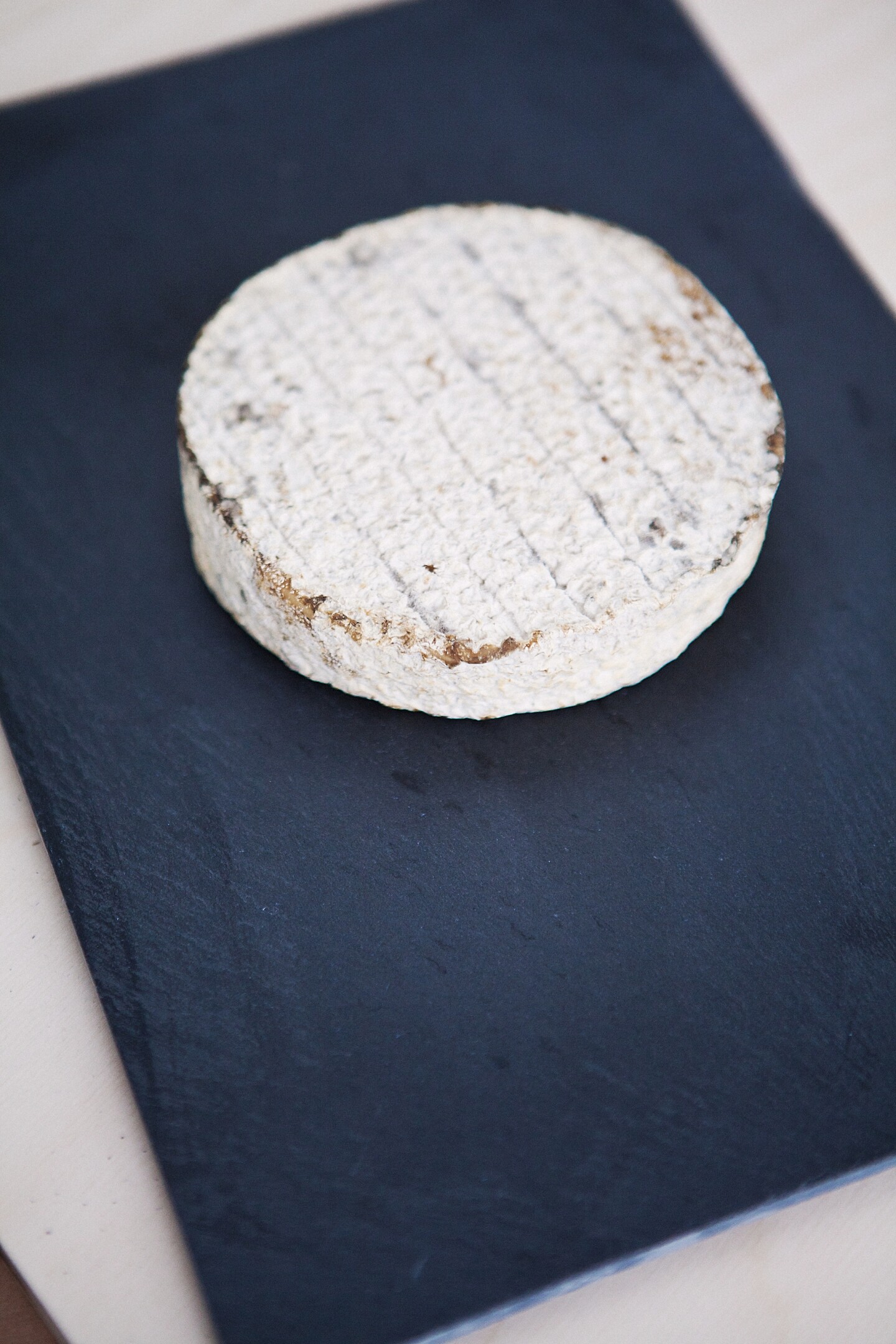 Exhibit features cheese made from human bacteria