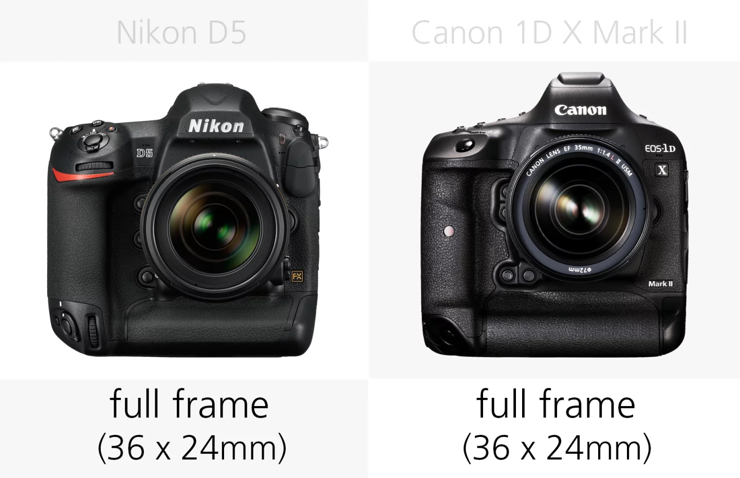 Sensor size comparison of the Nikon D5 and Canon 1D X Mark II