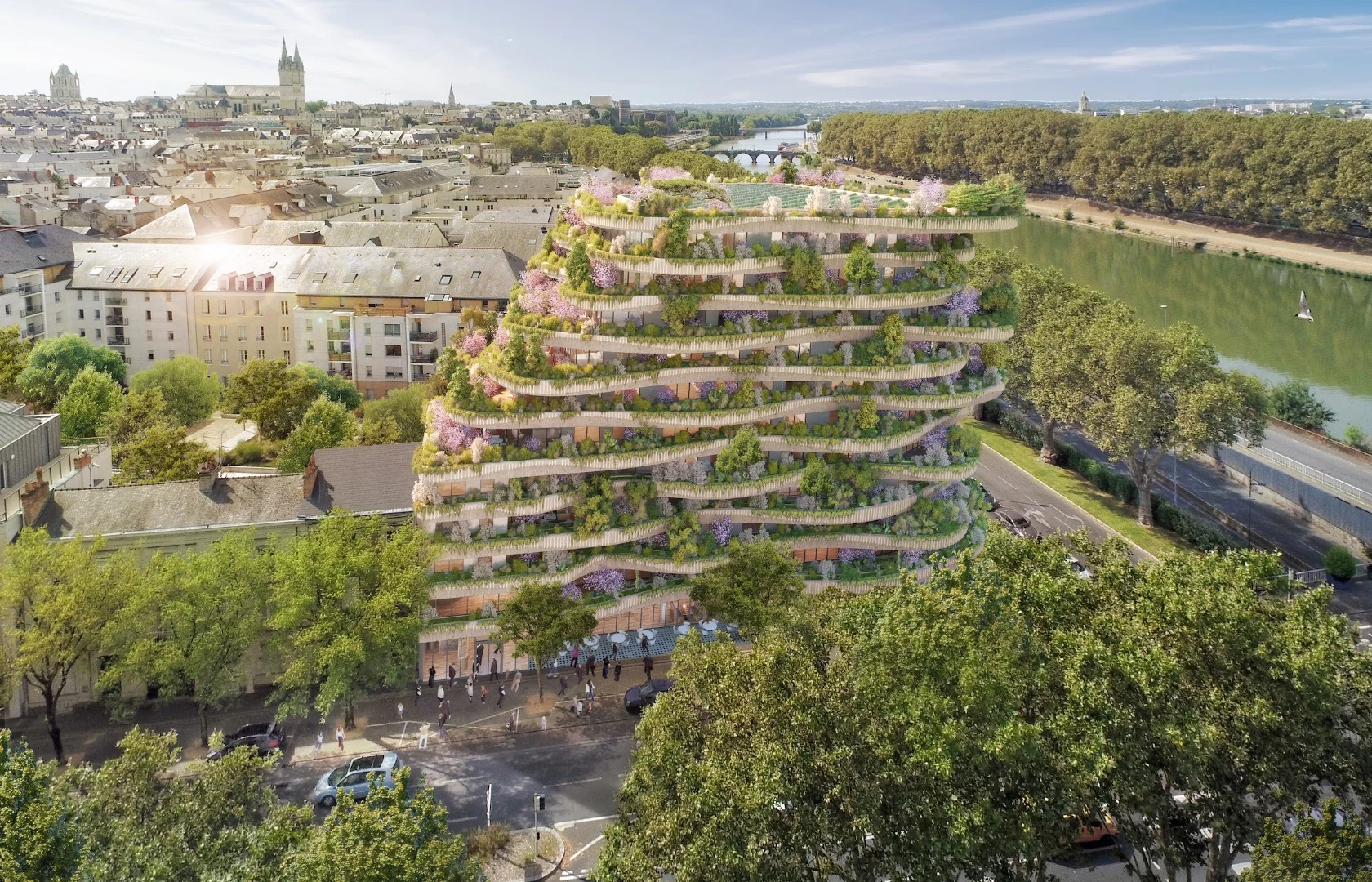 Arboricole would rise to 35 m (114 ft) in height